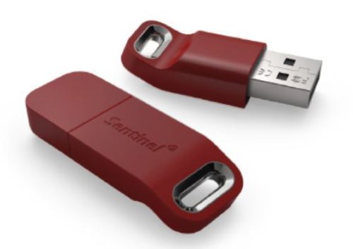 network 500x354 - Safenet Sentinel Emulator